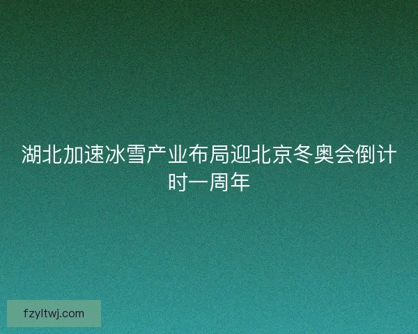 湖北加速冰雪产业布局迎北京冬奥会倒计时一周年